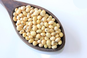 Soyabean